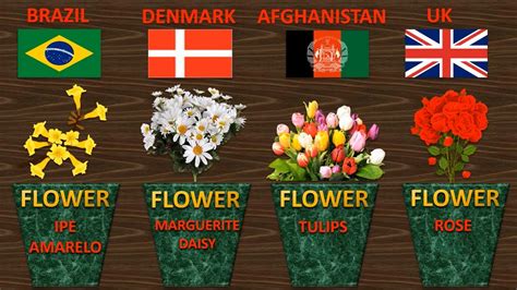 National Flowers Of Countries | National Flower Of World | Countries ...