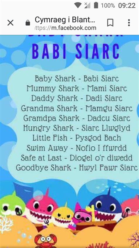 Baby shark in welsh? - General / Questions - SSi Forum