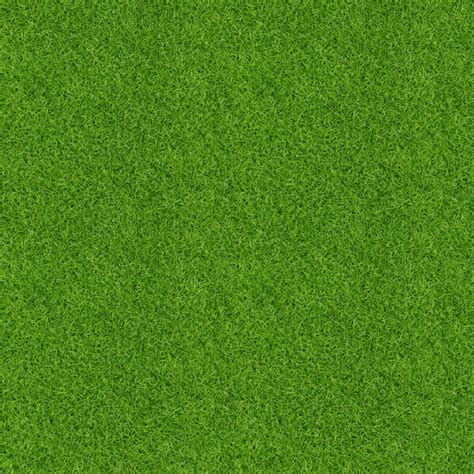 Grass Texture Png