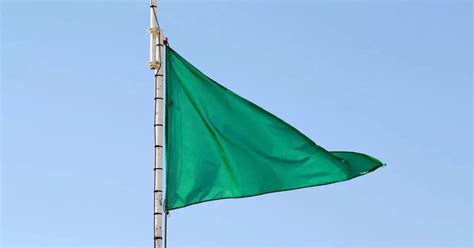 Green flags to look out for in a relationship