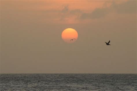 Sunset in Aruba March 2, 2016 | Sunset, Scenery, Aruba