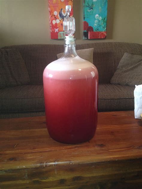 5 gallons of South Georgia strawberry wine! | Homemade wine, Fruit wine ...