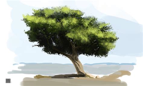 Digital painting trees by Sickbrush on DeviantArt