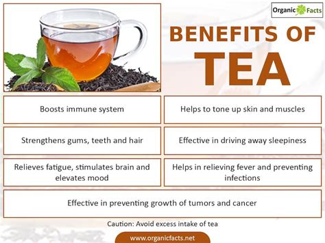 17 Best Detox Teas: Kick Those Toxins to the Curb | ecokarma