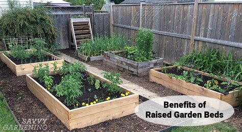 Benefits of Raised Garden Beds: Grow a Veggie Garden Anywhere