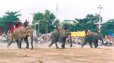 THE ELEPHANT RACING FESTIVAL IN DAKLAK