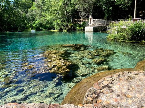 It's Never Not a Good Time to Visit Florida's Incredible Natural ...