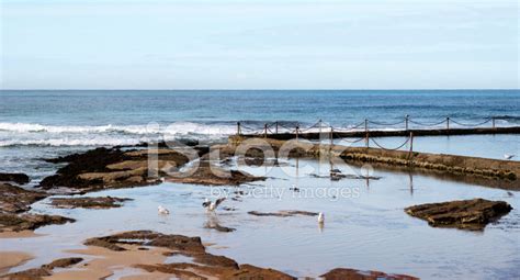 Seaside Rock Pool Stock Photo | Royalty-Free | FreeImages