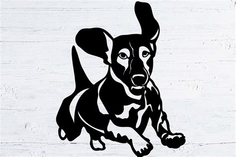 Running Dachshund SVG Graphic by TanuschArts · Creative Fabrica