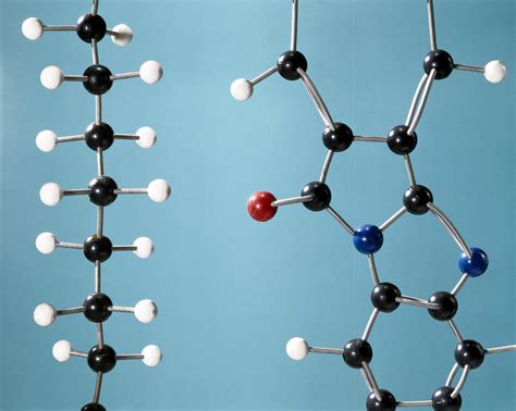 What are Monomers and Polymers and How Do They Fit Together? | Polymer chemistry, Polymer ...