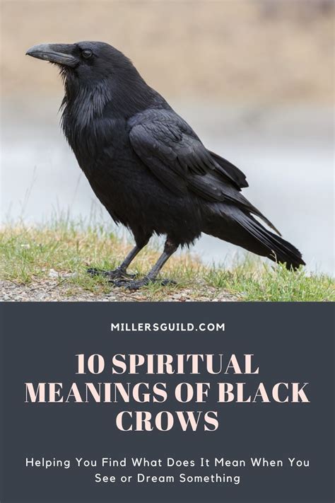 10 Spiritual Meanings of Black Crows