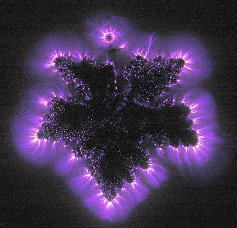 More Kirlian Photos —-> | Kirlian photography, Photography, Aura photo