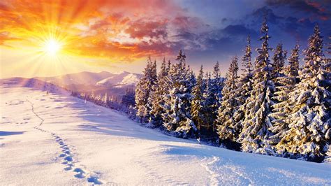 Winter Desktop Backgrounds 1920x1080