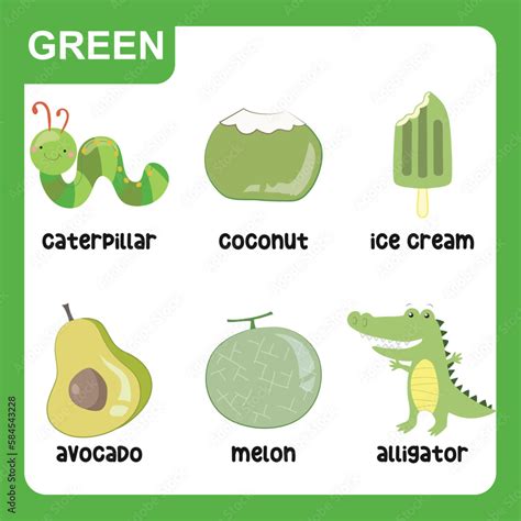 Set of green color objects. Primary colours flashcard with green elements. Learning colors for ...