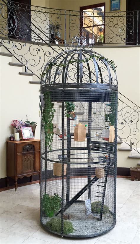 DIY Bird Cage with Plants