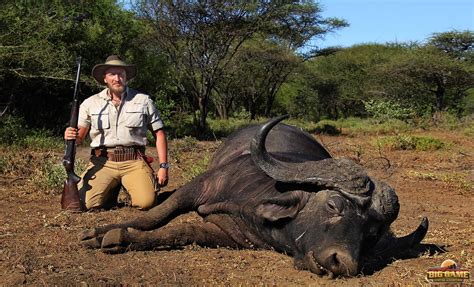 Cape Buffalo Hunting In South Africa | Big Game Hunting Adventures