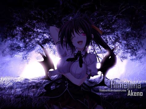 Akeno Himejima Wallpapers - Wallpaper Cave