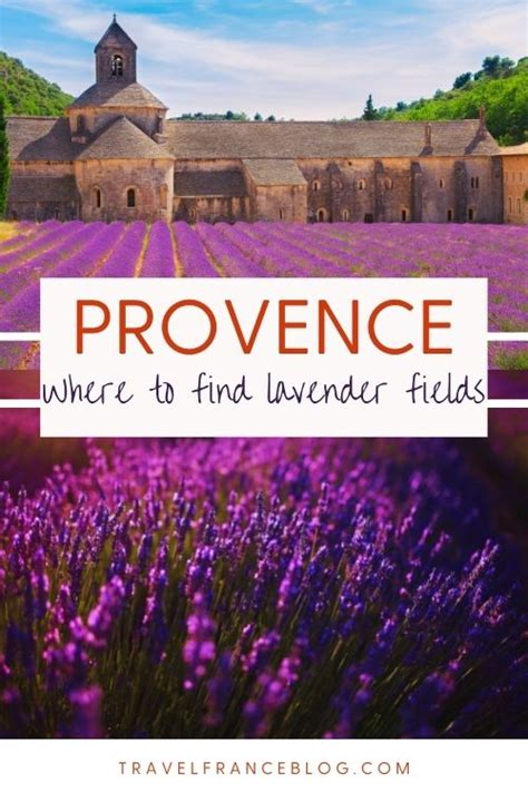 Where to Find Lavender Fields in Provence, France (2024) | Travel ...