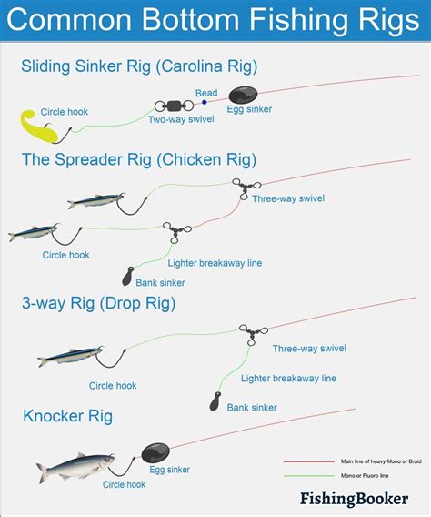 How to Go Bottom Fishing: The Complete Guide | Bottom fishing, Catfish ...