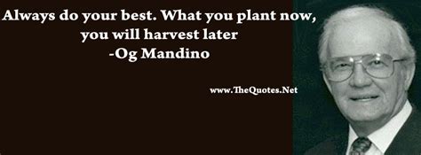 Facebook Cover Image - Og Mandino Quotes - TheQuotes.Net