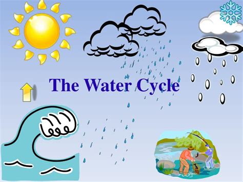 PPT - The Water Cycle PowerPoint Presentation, free download - ID:2573679