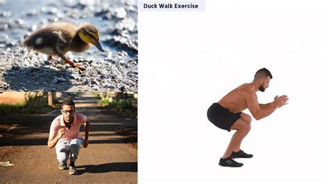 Boost Your Fitness With Duck Walk Exercise: Know 5 Benefits