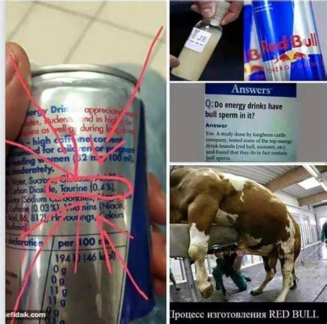 Does Red Bull energy drink contain sperms from a bull? Tuko.co.ke