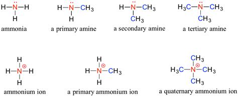 Nitrogen Functional Groups Organic Chemistry