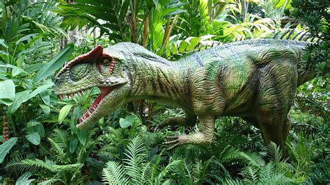 Allosaurus - A-Z Animals