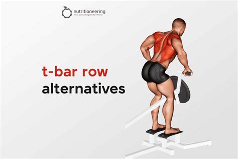 15 Top T-Bar Row Alternative Exercises (With Videos)