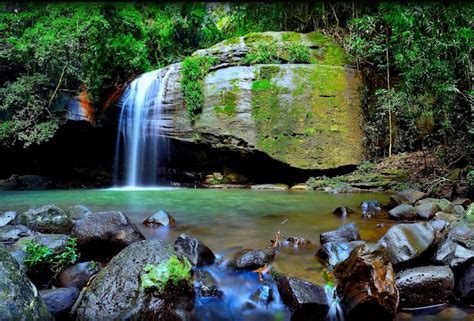 Buderim Holiday Rentals & Homes - Queensland, Australia | Airbnb