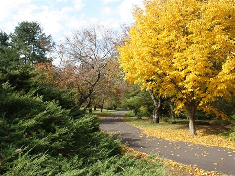 Fall foliage: Where to see it around Philly - Curbed Philly