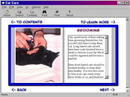 FileGets: Cat Care E-book Screenshot - Save time and money with these practical cat care tips ...