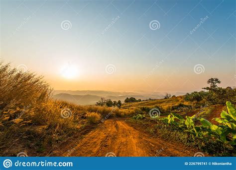 Morning Scenery on High Mountains.46 Stock Image - Image of foliage, cloud: 226799741