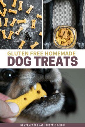 Crunchy Gluten Free Dog Treats | Just 4 Ingredients