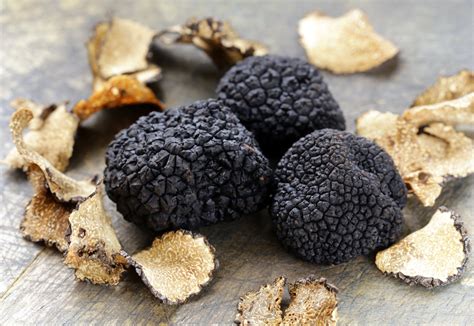 Truffle: The black diamond of the kitchen - EHL Insights | Culinary arts