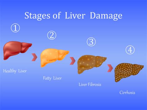 Liver Healing | How to Repair the Liver | Recovery By The Sea