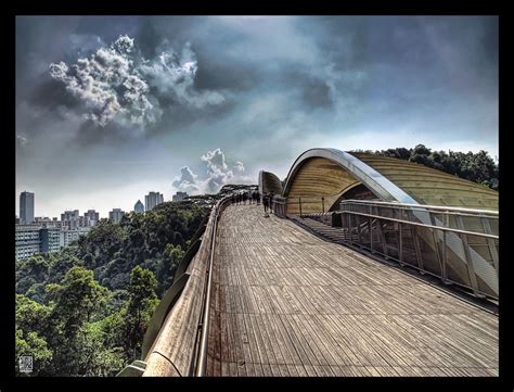 Henderson Waves Bridge | At a height of 36 metres or 12 stor… | Flickr