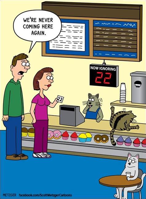 Now Ignoring 22. "We're never coming here again." Scott Metzger cartoons | Cat jokes, Funny cat ...