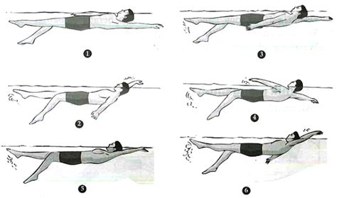 Posisi Renang Gaya Punggung Adalah - Homecare24