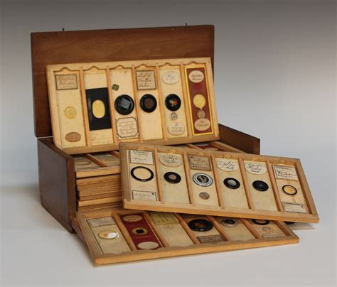 A collection of Victorian microscope specimen slides, approximately 144 in total, including botanica