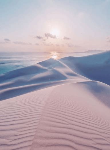 Socotra beaches are distinguished by its high-purity white sand, as it appears to the visitor as ...