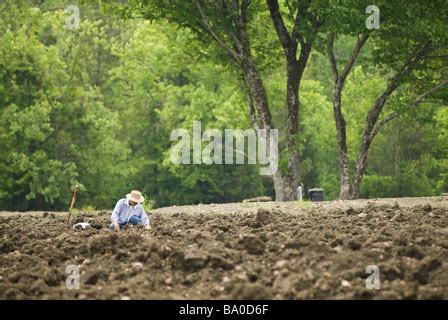 Crater of Diamonds State Park near Murfreesboro, Arkansas Stock Photo ...