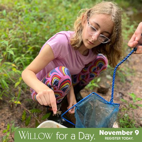 Willow For A Day - The Willow School