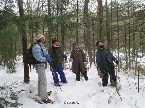 Quabbin Wildlife Tracking Program 2/21/2015