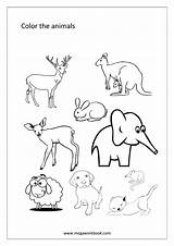 Free Coloring Sheets  Miscellaneous MegaWorkbook sketch template