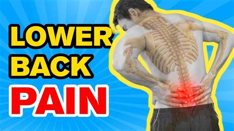 Chronic Low Back Pain | Understanding Lower Back Structures And Treatment Approaches - YouTube