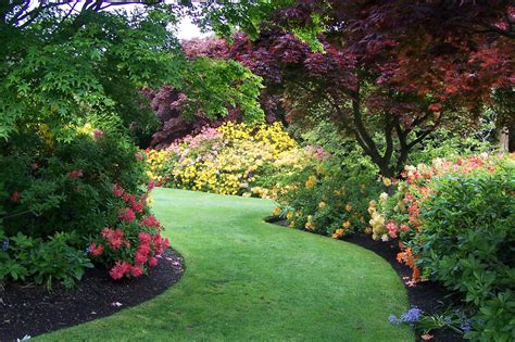 kneedly knots: The Dunedin Botanical Gardens