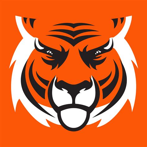 Cincinnati Bengals nfl football sports wallpaper | 3600x3600 | 1177774 | WallpaperUP