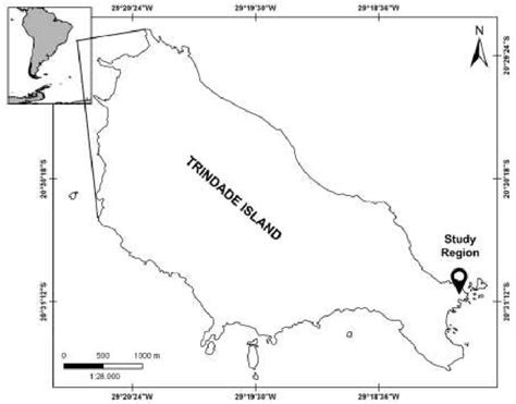 Location of Trindade Island in relation to South America and location... | Download Scientific ...